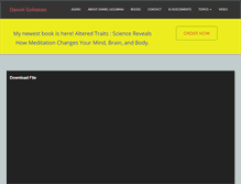 Tablet Screenshot of danielgoleman.info